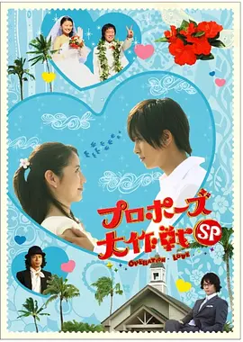 求婚大作战特别版