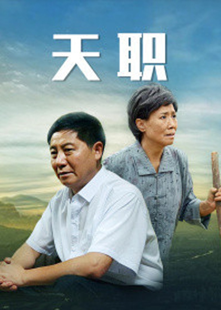 天职2013